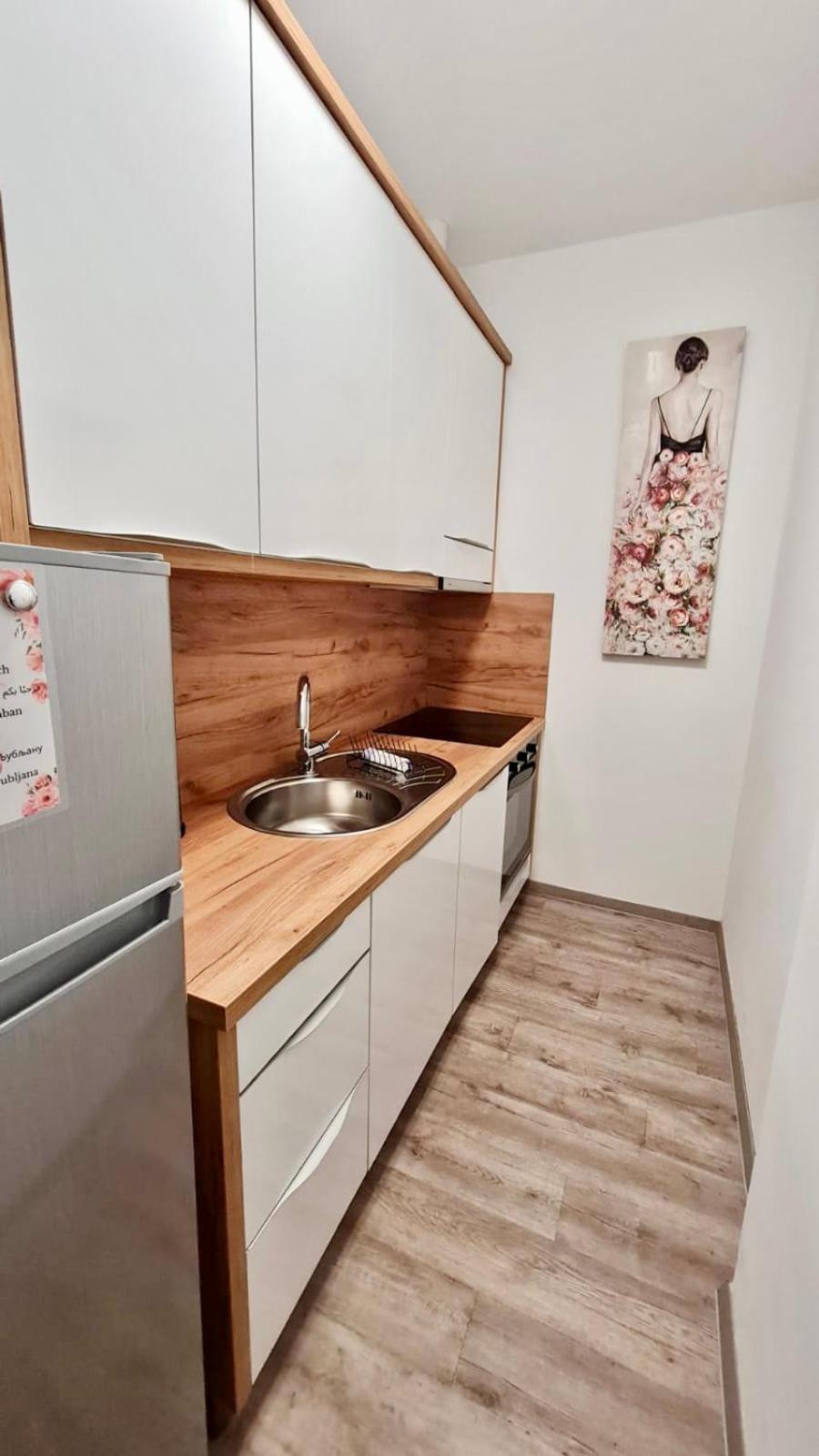 Ljubljana Central Lux Apartment With Free Parking 외부 사진